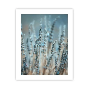 Affisch - Doftande åkermark - 40x50 cm