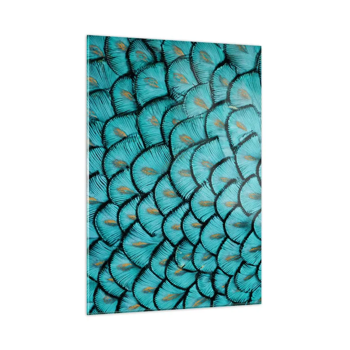 Glastavla - Bild på glas - Den stora fjädergalan - 50x70 cm