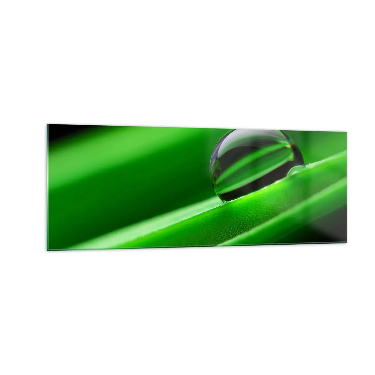 Glastavla - Bild på glas - Livet på nära håll - 140x50 cm