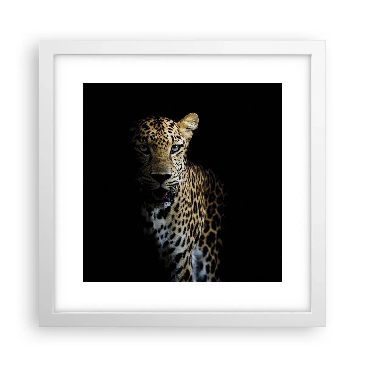 Affisch i vit ram - Mörk skönhet - 30x30 cm