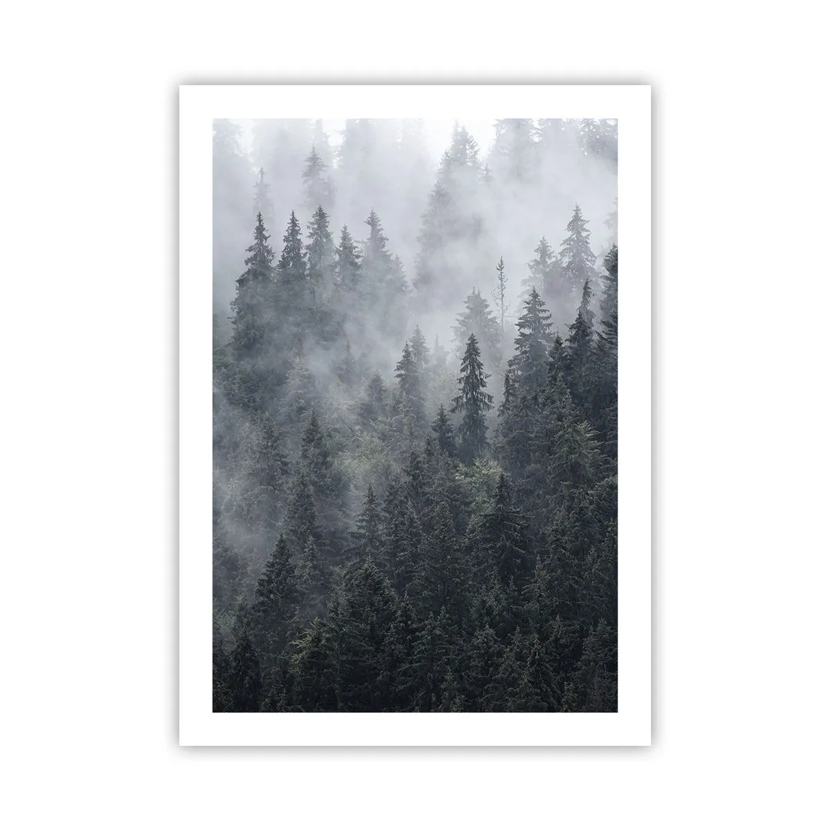 Affisch - Gryning i skogen - 50x70 cm