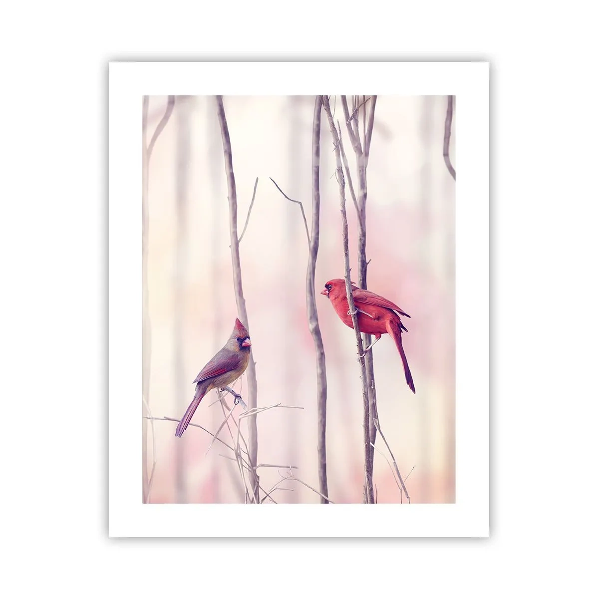 Affisch - Rosa skogens saga - 40x50 cm