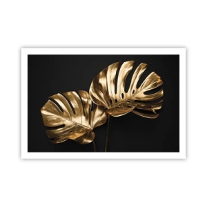 Affisch - Naturens skatter - 91x61 cm