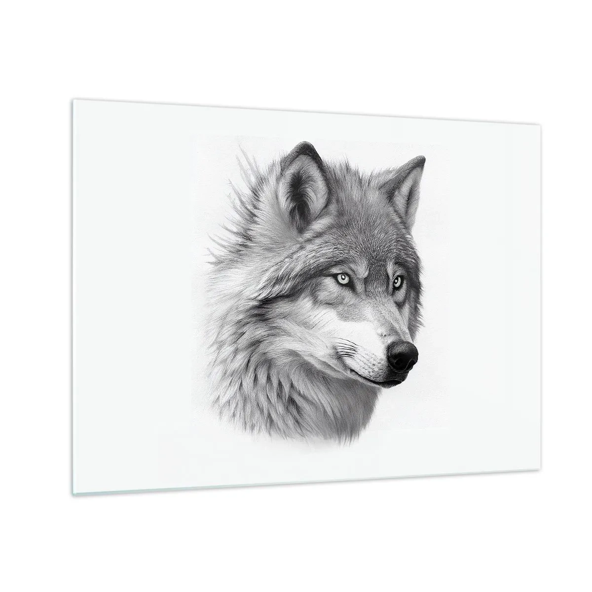 Glastavla - Bild på glas - Svartvitt porträtt av en varg med en genomträngande blick - 70x50cm - Alfa - utan tvekan - Modern väggdekoration för vardagsrum och sovrum ARTTOR