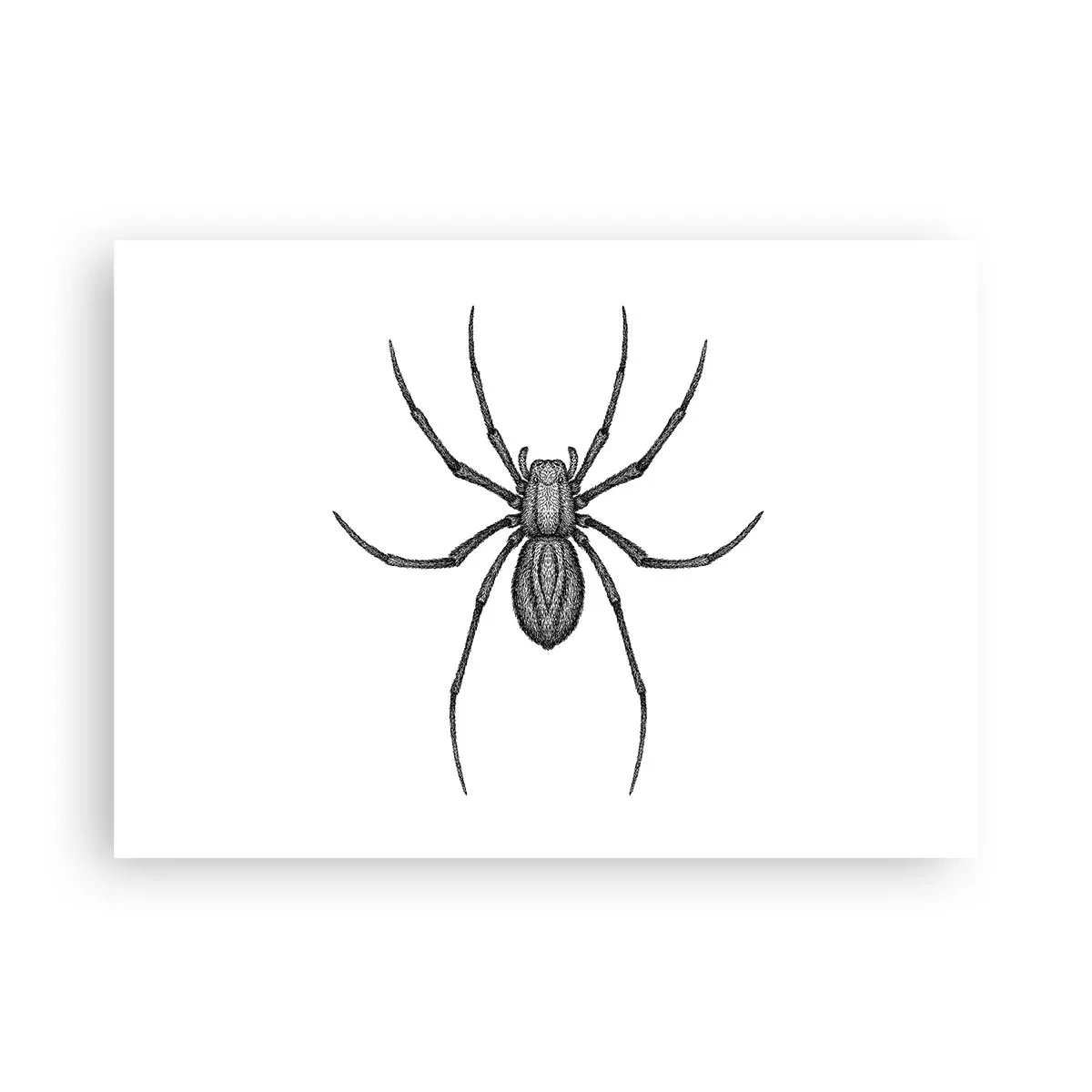 Affisch - Oroväckande precision - 70x50 cm