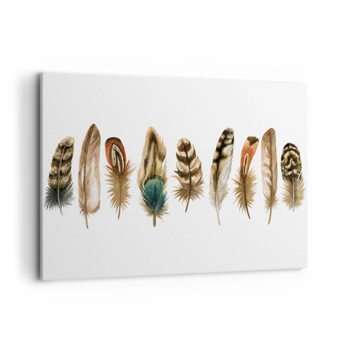 Canvastavla - Bild på duk - Fjädervariation - 100x70 cm