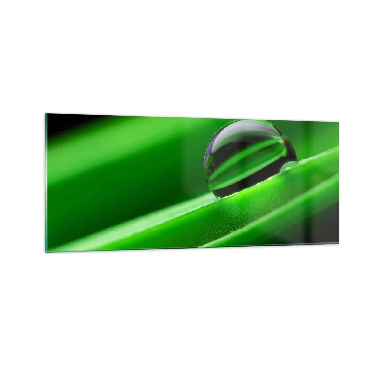 Glastavla - Bild på glas - Livet på nära håll - 100x40 cm