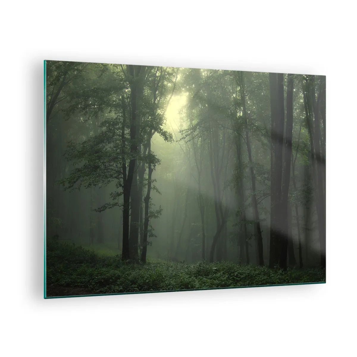 Glastavla - Bild på glas - En mörk skog höljd i dimma med ljusstrålar - 70x50cm - Innan skogen vaknar - Modern väggdekoration för vardagsrum och sovrum ARTTOR