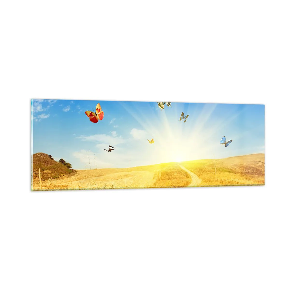 Glastavla - Bild på glas - Varför vi älskar sommaren? - 90x30 cm