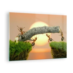Glastavla - Bild på glas - Myror bygger en bro vid solnedgången - 70x50cm - Glatt, gemensamt arbete - Modern väggdekoration för vardagsrum och sovrum ARTTOR