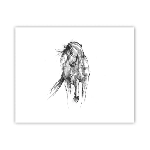 Affisch - Elegant trav - 50x40 cm