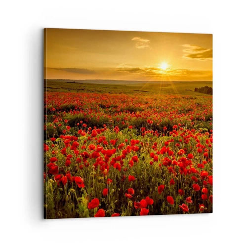 Canvastavla - Bild på duk - Bland brusande ängars vågor, bland blommornas flod - 60x60 cm