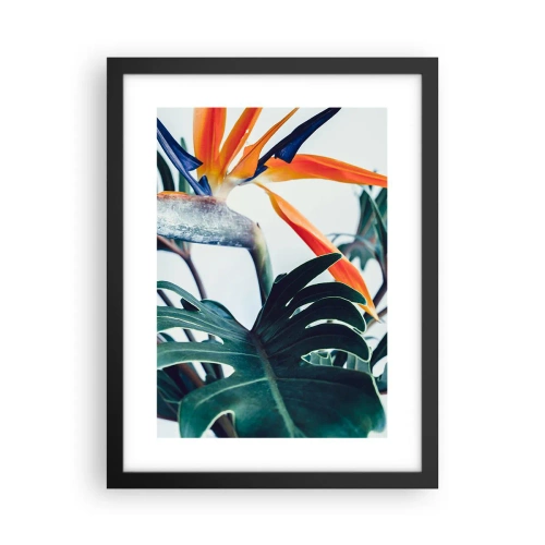 Affisch i svart ram - Fågelbuske - 30x40 cm