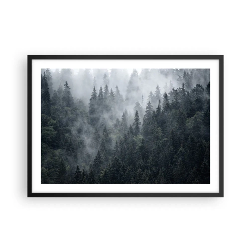 Affisch i svart ram - Gryning i skogen - 70x50 cm