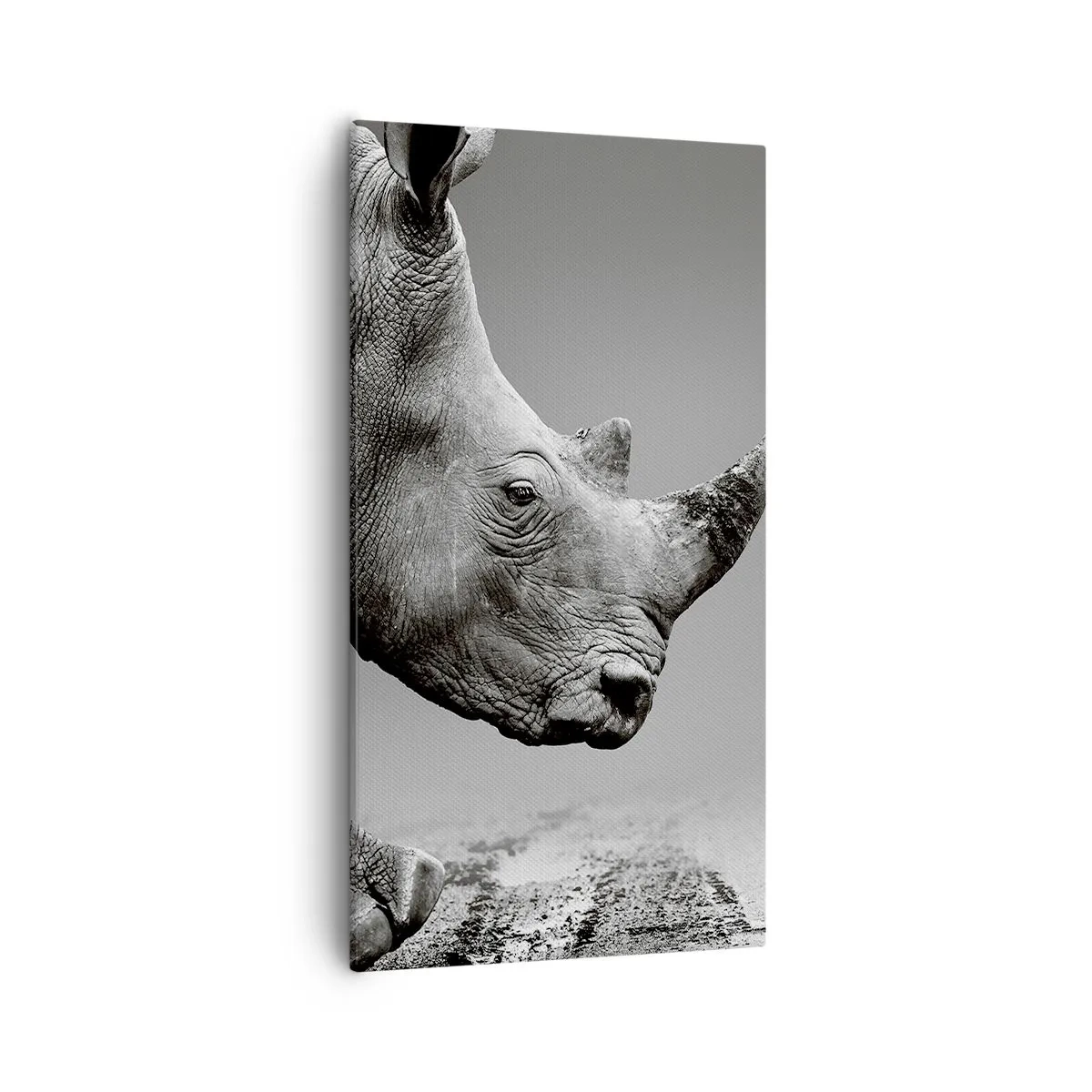 Canvastavla - Bild på duk - Ostoppbar kraft - 55x100 cm