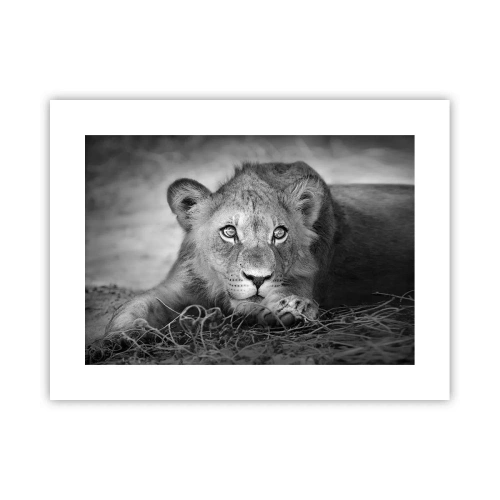 Affisch - Kunglig valp - 40x30 cm