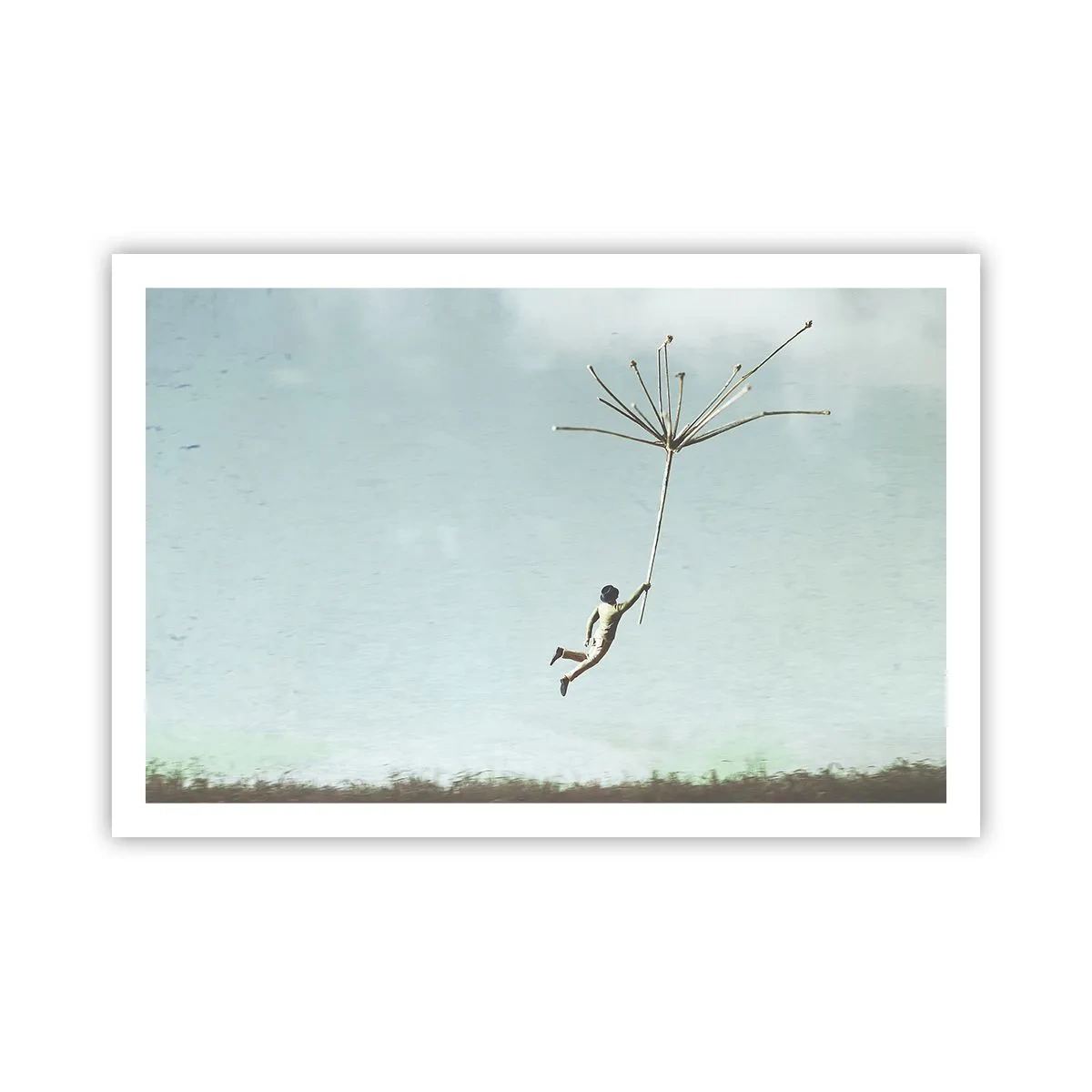 Affisch - Drakar, maskrosor, vind - 91x61 cm