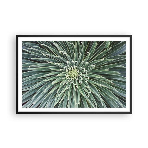 Affisch i svart ram - Stjärna föds - 91x61 cm