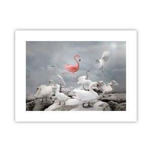 Affisch - Hur har jag hamnat här? - 40x30 cm