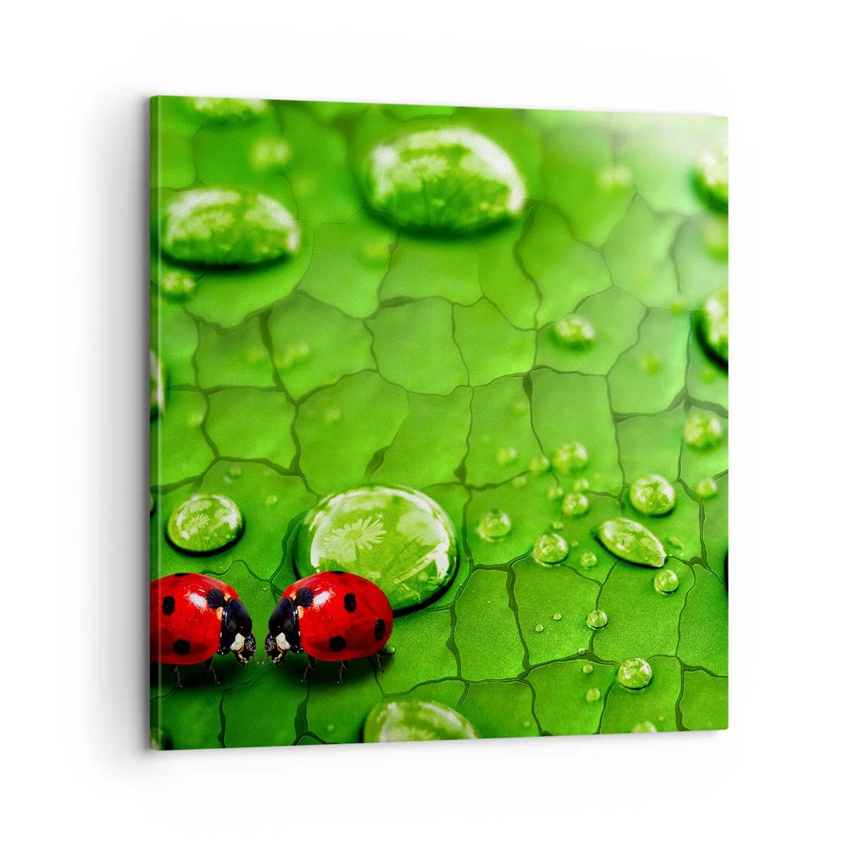 Canvastavla - Bild på duk - Ett möte i det gröna - 60x60 cm