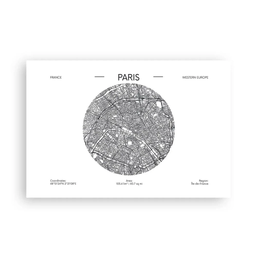 Affisch - Paris anatomi - 91x61 cm