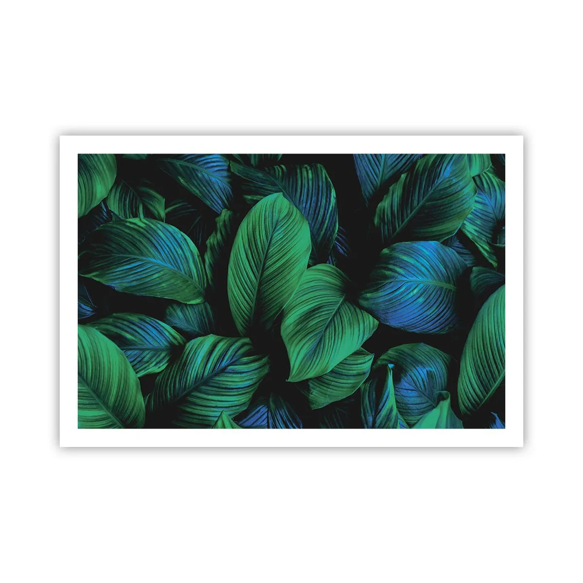 Affisch - I gröna folkmassan - 91x61 cm