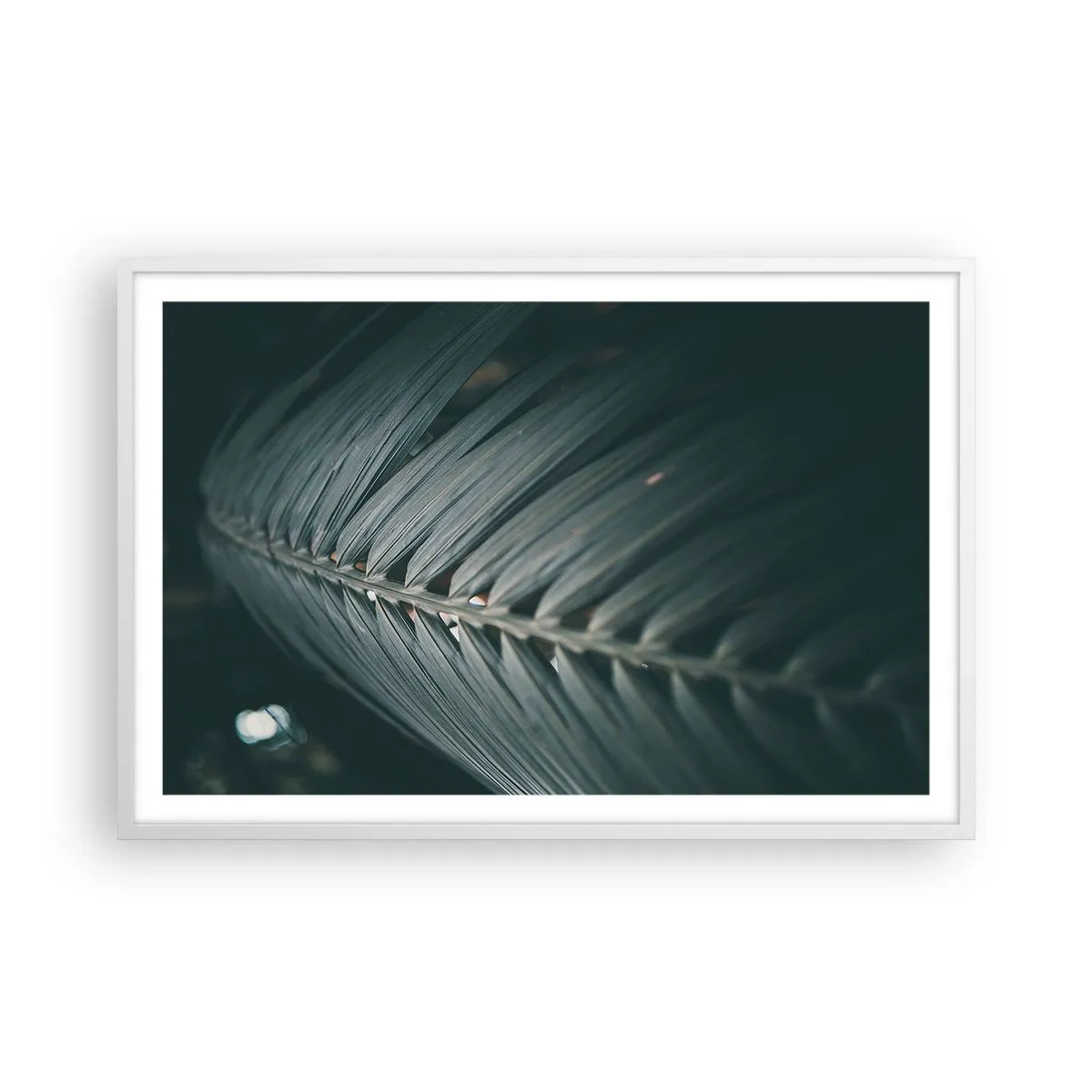 Affisch i vit ram - Naturens precision - 91x61 cm