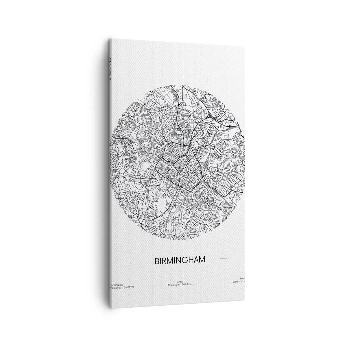Canvastavla - Bild på duk - Birminghams anatomi - 45x80 cm