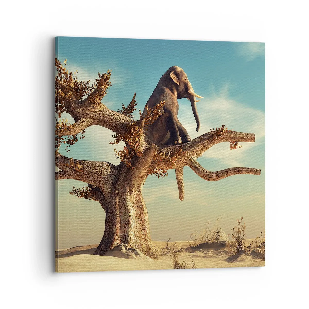 Canvastavla - Bild på duk - Ny synvinkel - 70x70 cm