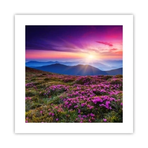 Affisch - Doftande örter - 40x40 cm