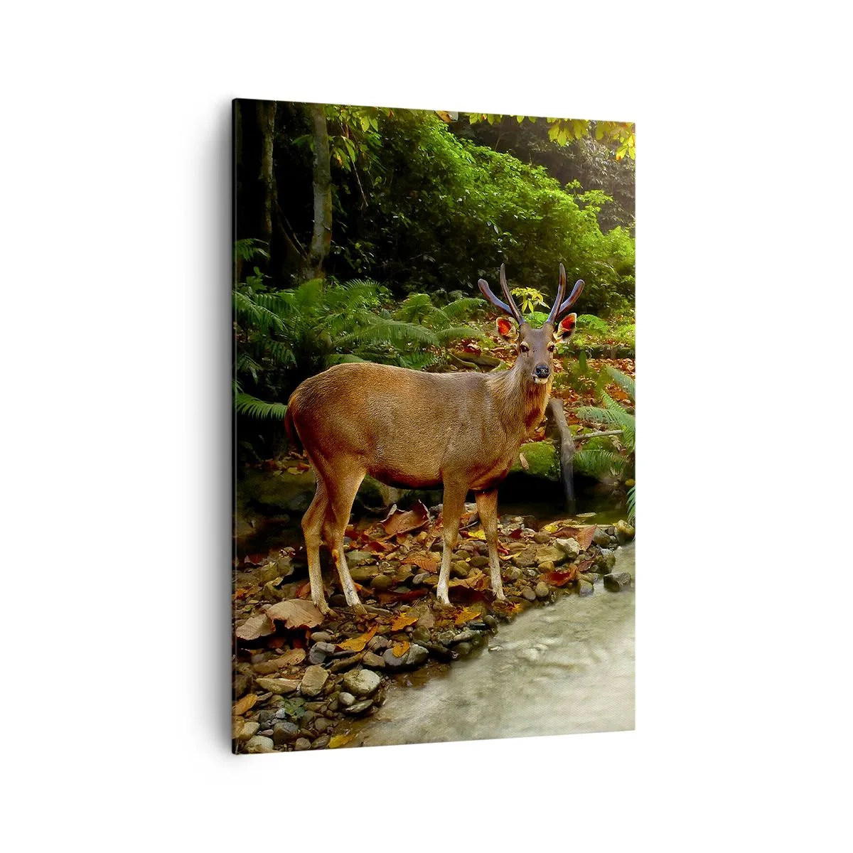 Canvastavla - Bild på duk - Välkommen till min värld - 70x100 cm