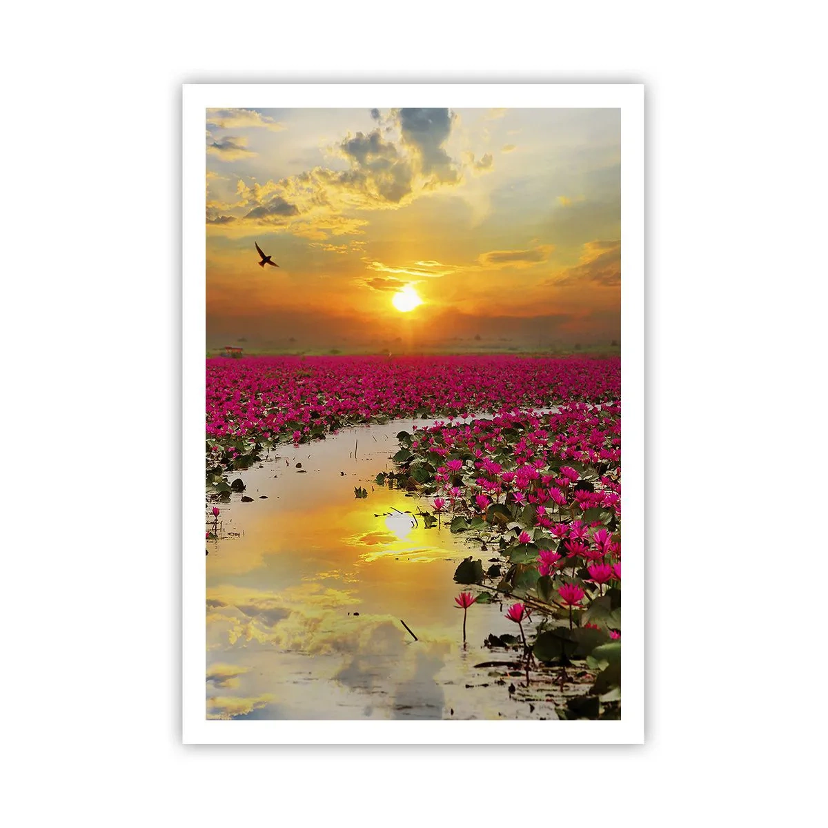 Affisch - Sjöns hemlighetsfulla liv - 70x100 cm