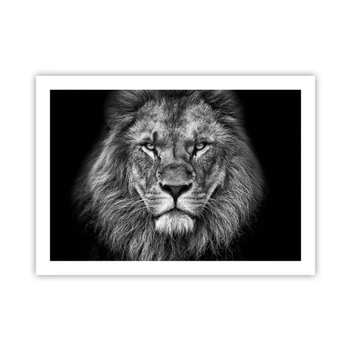 Affisch - I kröningskläder - 70x50 cm