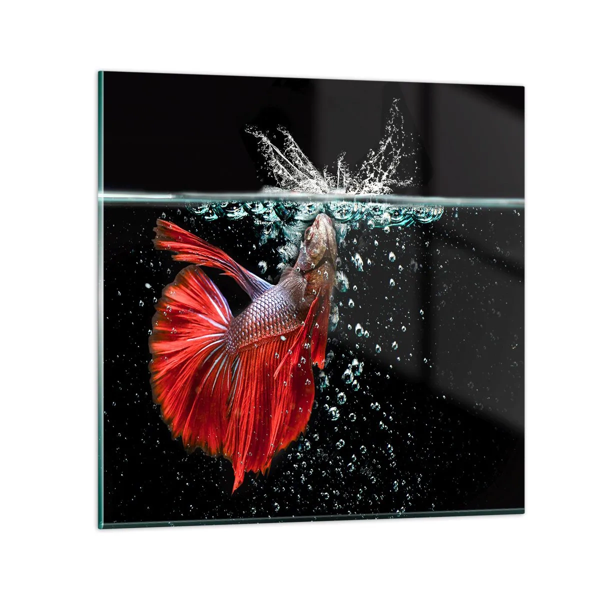 Glastavla - Bild på glas - Du har tre önskemål - 50x50 cm