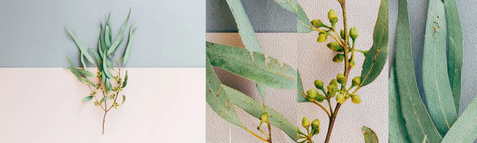 Provbit av fototapet Premium Sand - Pastellens subtilitet - Pastell, Växt, Boho - 100x30 cm