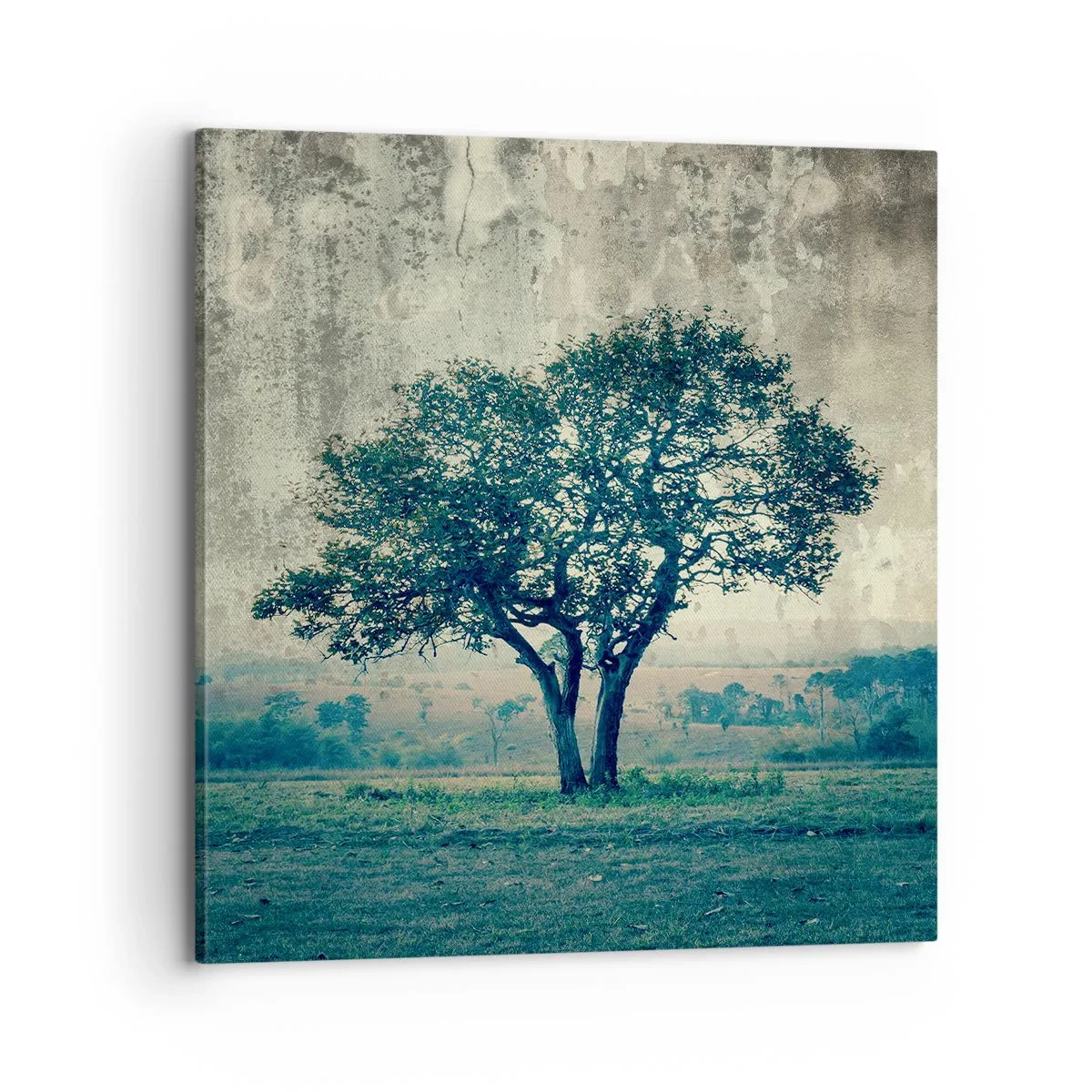 Canvastavla - Bild på duk - Äppelträd på blå betesmark? - 70x70 cm