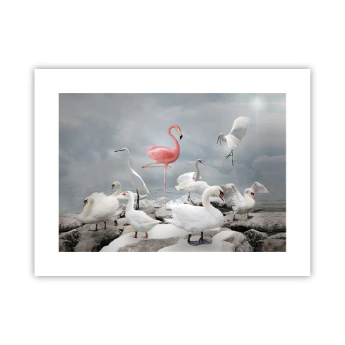 Affisch - Hur har jag hamnat här? - 40x30 cm