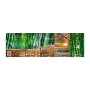 Provbit av fototapet Premium Sand - Asiatiska kulturens essäns - Bambu, Bambuskog, Natur - 100x30 cm