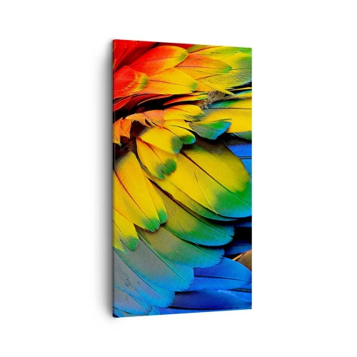 Canvastavla - Bild på duk - Paradisfågel - 45x80 cm