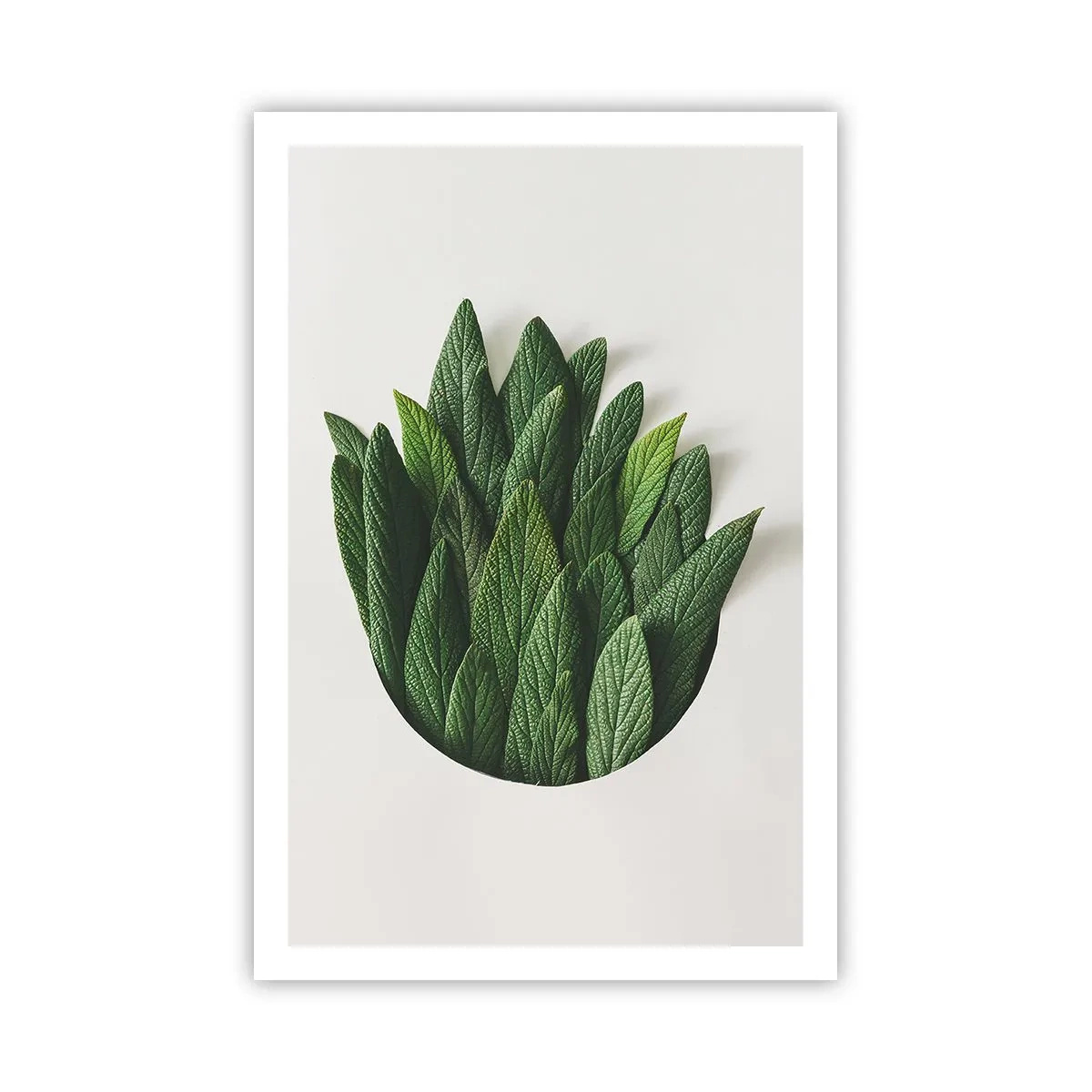 Affisch - Ostoppbar nyfikenhet - 61x91 cm