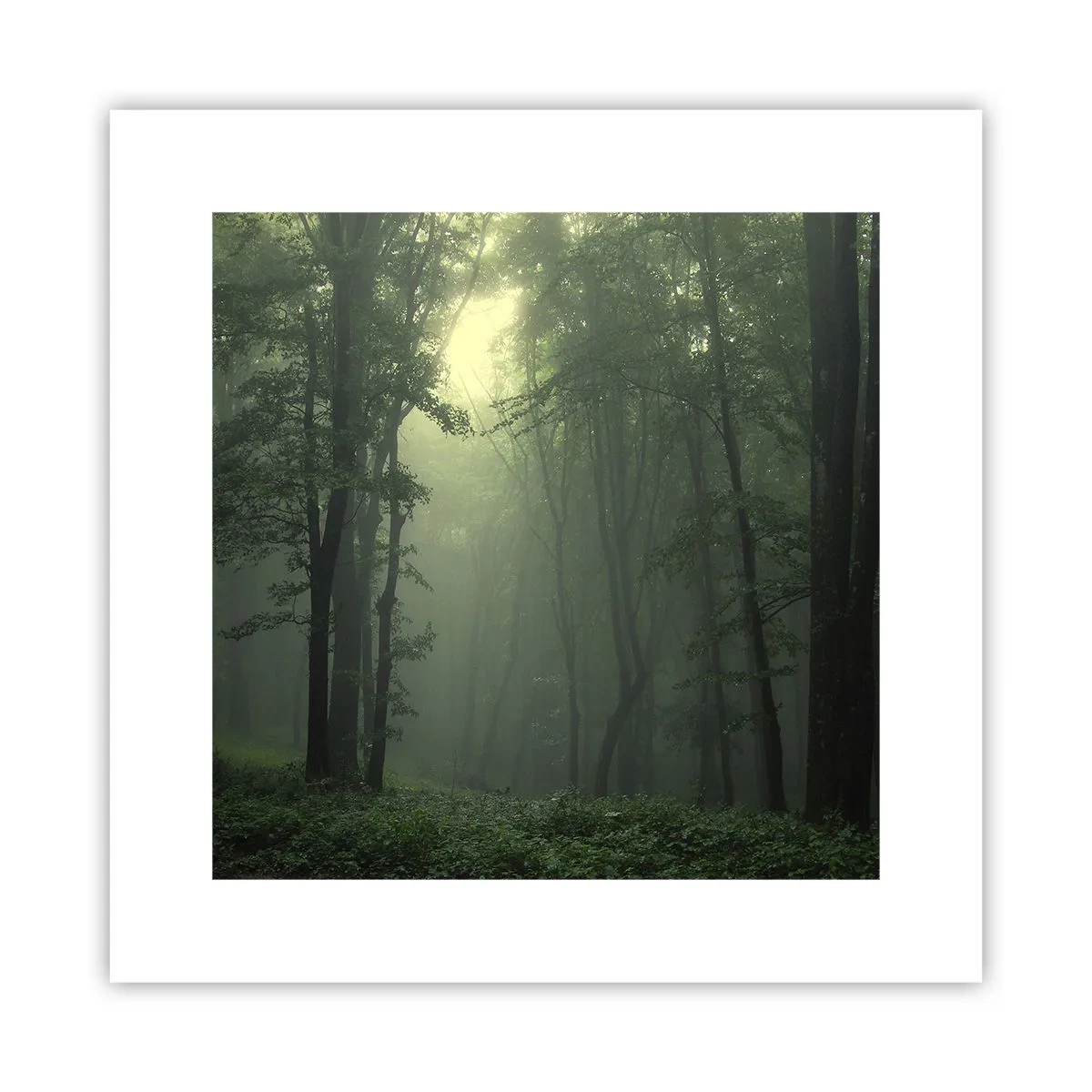 Affisch - Innan skogen vaknar - 30x30 cm