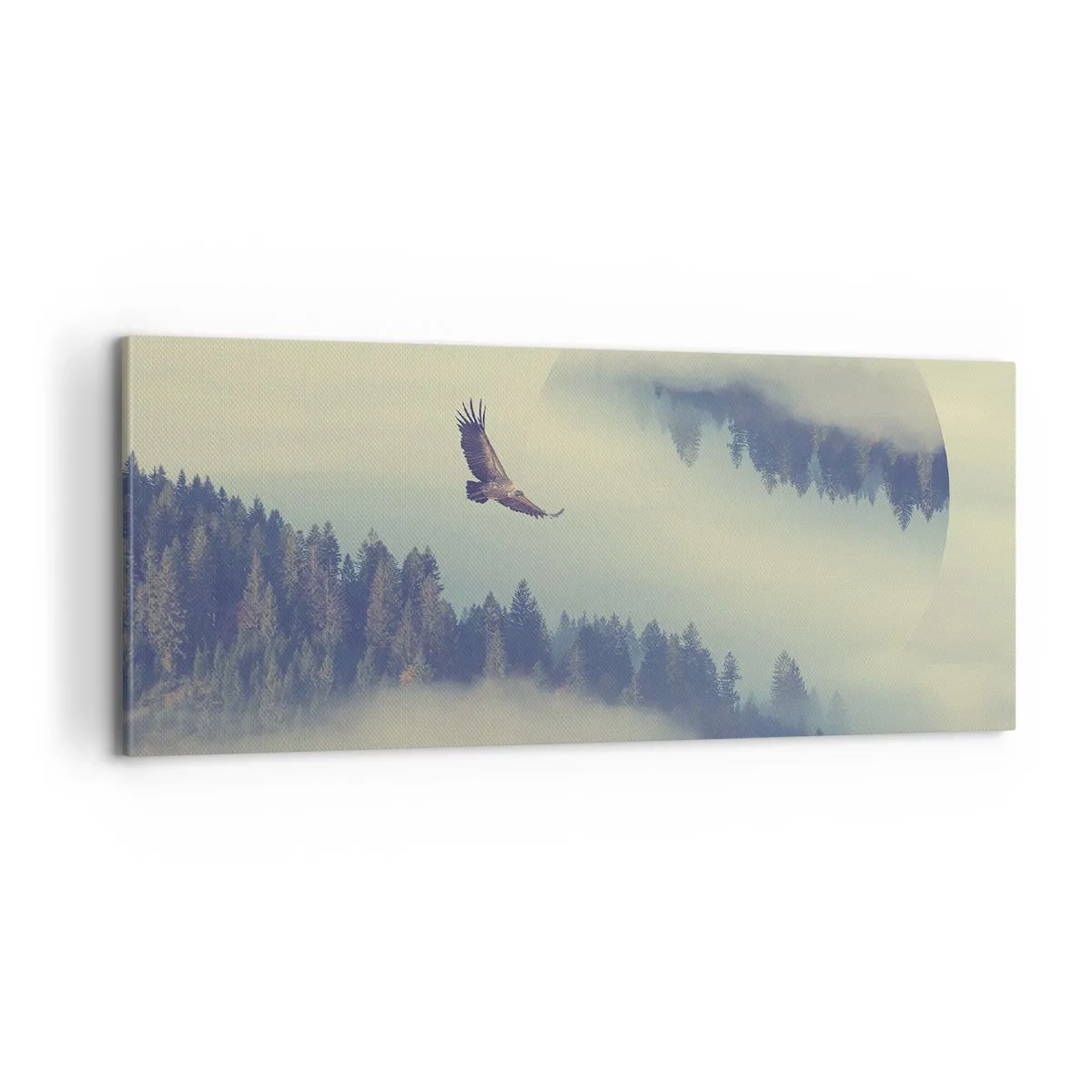 Canvastavla - Bild på duk - Örnens skugga - 100x40 cm