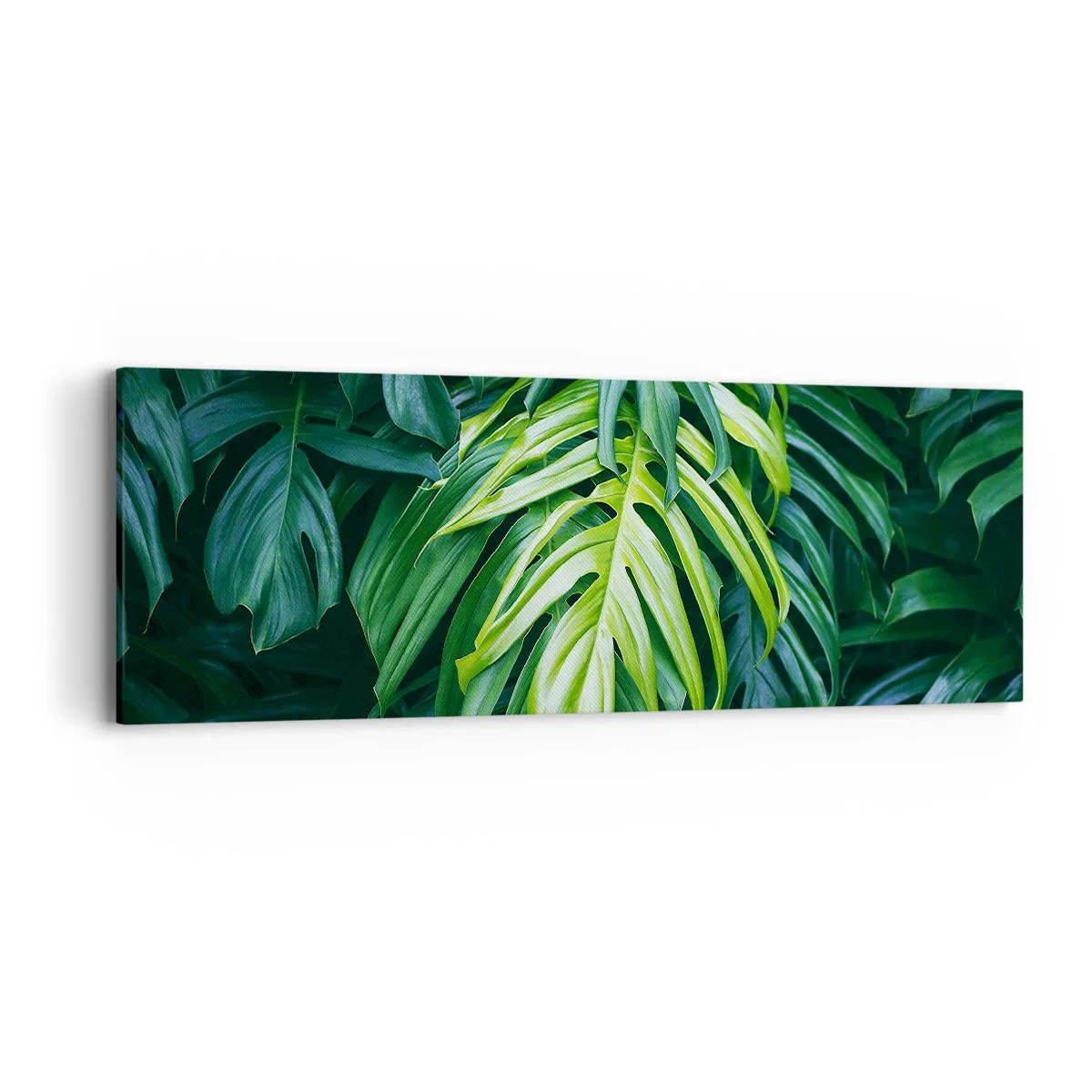 Canvastavla - Bild på duk - Doppa sig i fräschheten - 90x30 cm