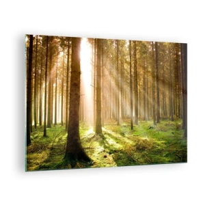 Glastavla - Bild på glas - Solstrålar som tränger igenom träden i skogen - 70x50cm - Snart kommer alverna - Modern väggdekoration för vardagsrum och sovrum ARTTOR