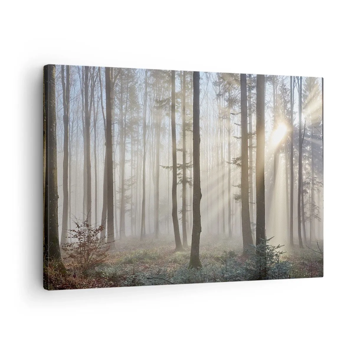 Canvastavla - Bild på duk - En skog i en lätt dimma med solljusstrålar som skiner genom träden - 70x50cm - Dimman är också vaken - Modern väggdekoration för vardagsrum och sovrum ARTTOR