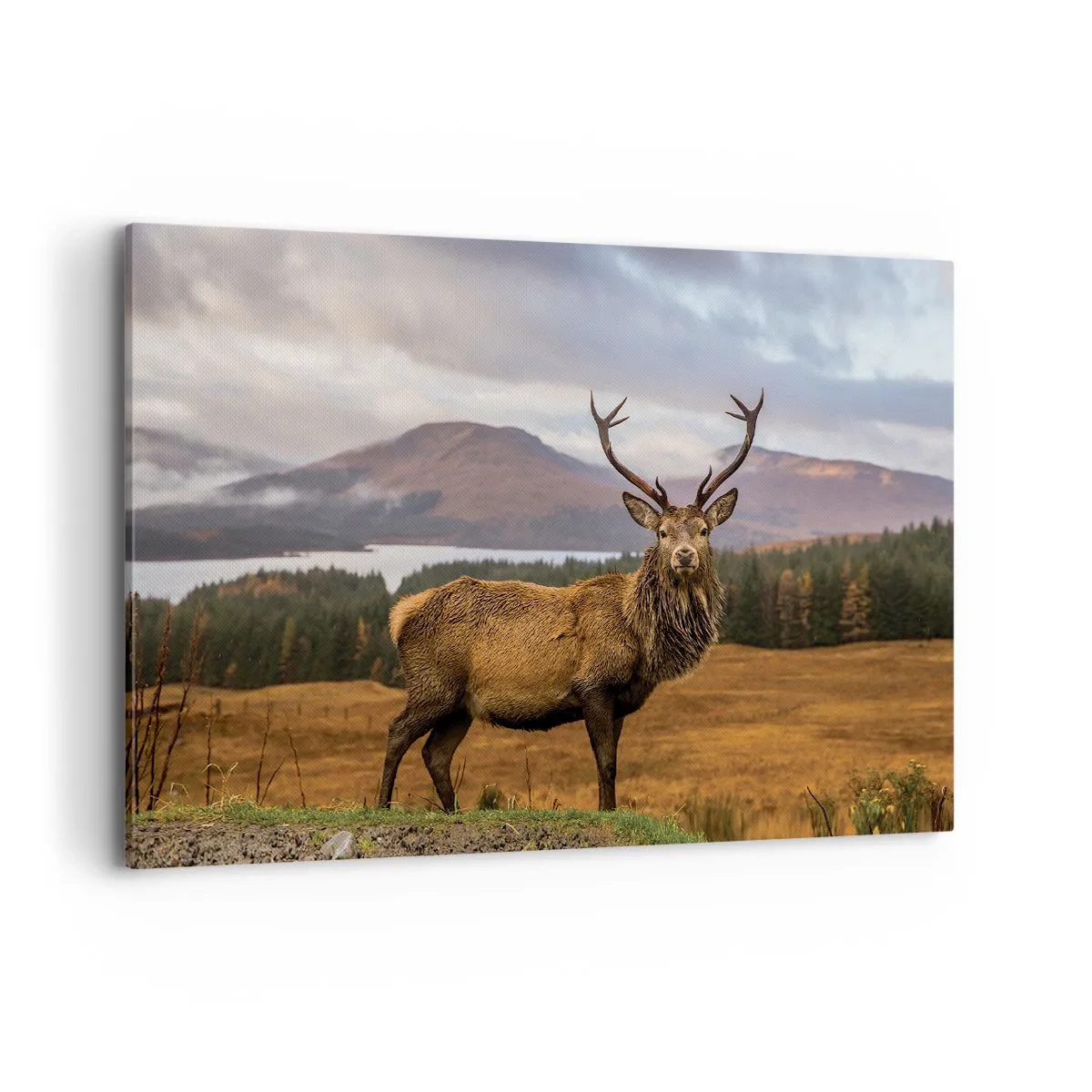 Canvastavla - Bild på duk - Naturens majestät - 120x80 cm