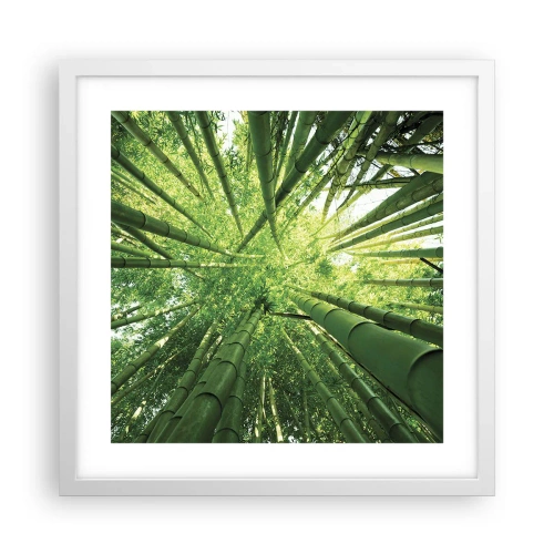 Affisch i vit ram - I en bambushage - 40x40 cm