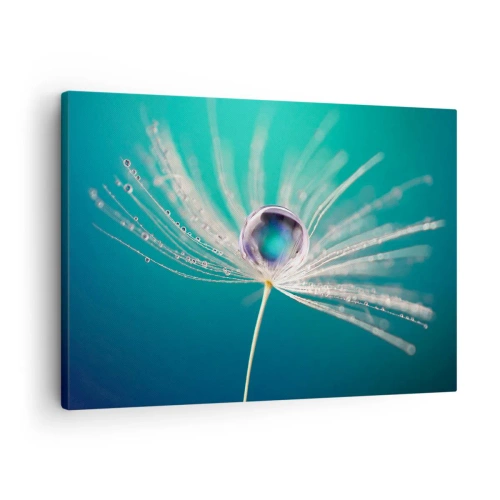Canvastavla - Bild på duk - Makro av en droppe vatten på ett ömtåligt maskrosfrö - 70x50cm - Mystisk stund - Modern väggdekoration för vardagsrum och sovrum ARTTOR