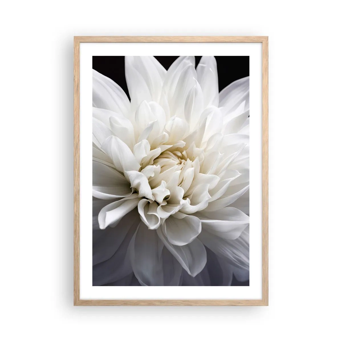 Affisch i ram av ljusek - En bruds morgon - 50x70 cm