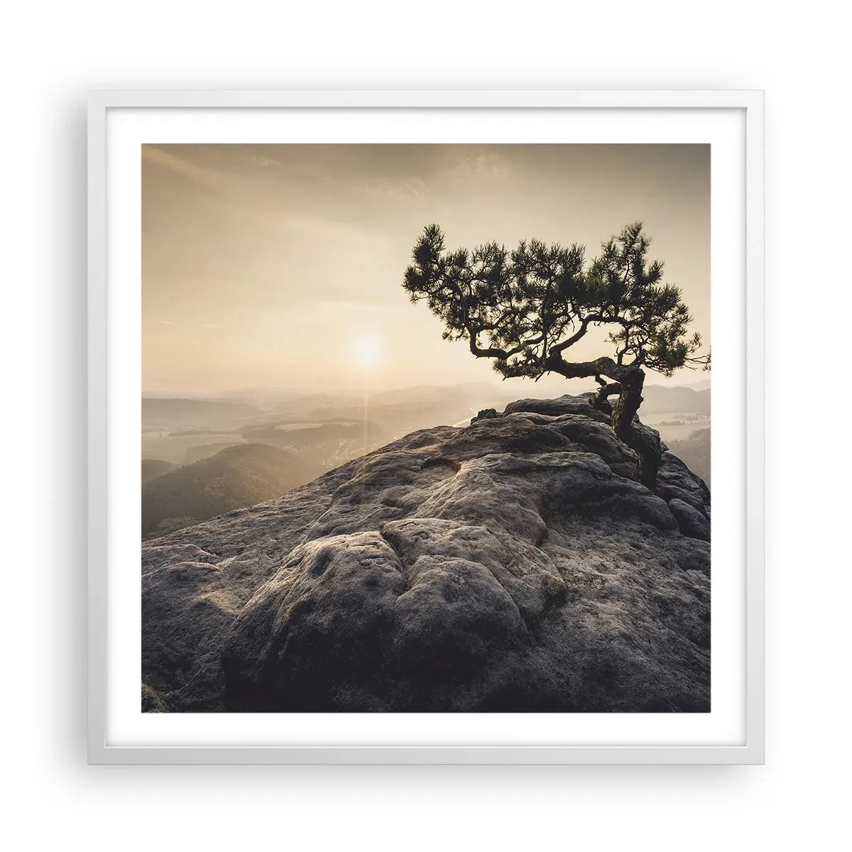 Affisch i vit ram - Livet vinner alltid - 60x60 cm